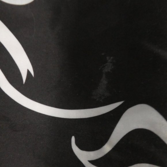 OLD NAVY | size 18 | Graphic Swim Shorts | Mesh Lining | Skulls and Flames - Picture 13 of 14